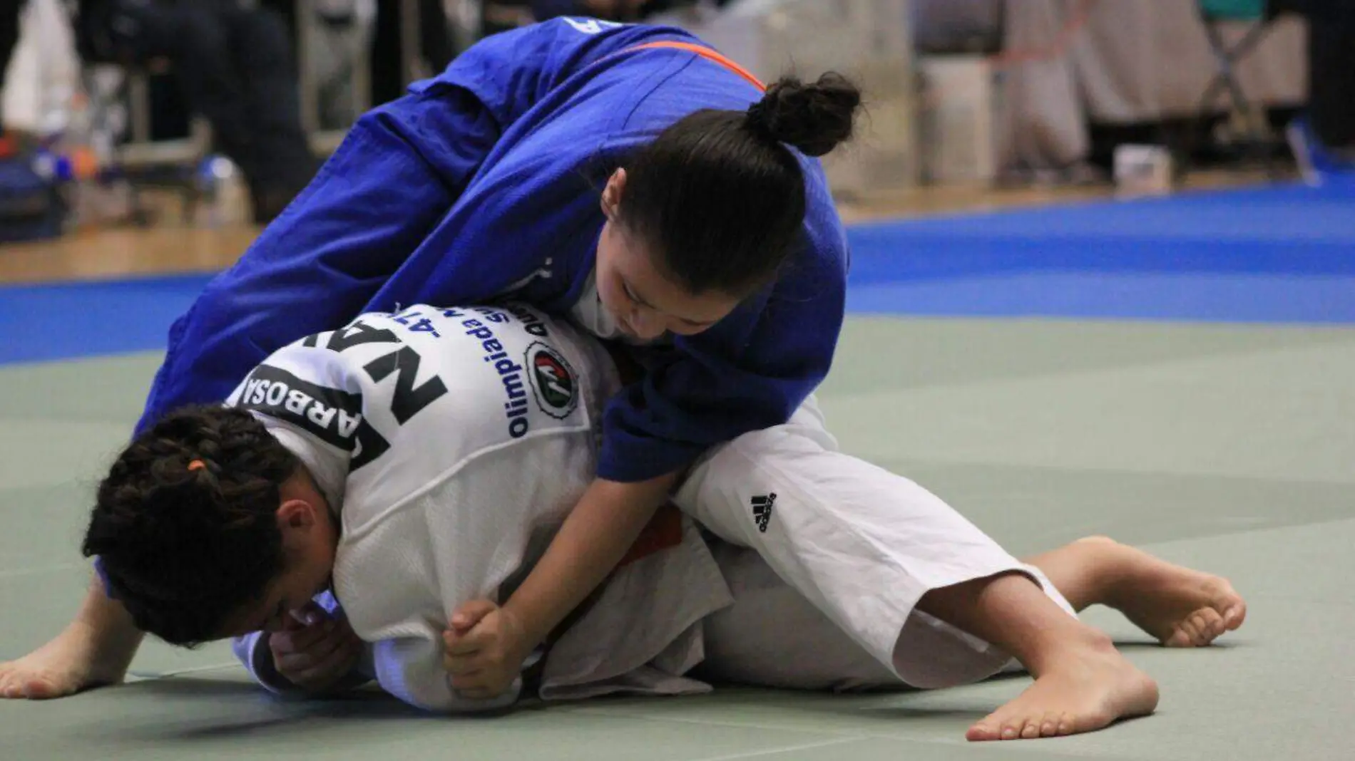 Judo                (Cortesía Codeson)